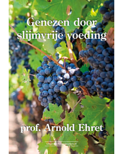 Genezen door slijmvrije voeding